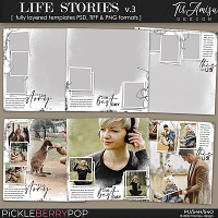 Life Stories  Templates vol.3