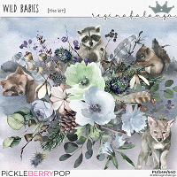 WILD BABIES THE KIT