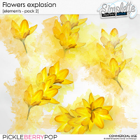 Flowers Explosion - pack 2 (CU elements)