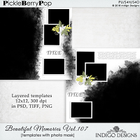 Beautiful Memories Templates Vol.107 by Indigo Design 