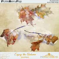 Enjoy The Autumn Overlays by Indigo Designs 