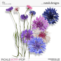 CU Cornflowers