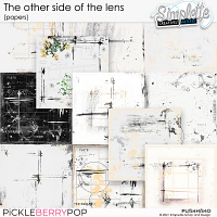 The other side of the lens (papers) by Simplette