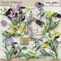 Traces Of Beauty Clusters