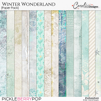 Winter Wonderland-Paper Pack