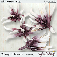 CU MYSTIC FLOWERS