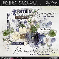 Every Moment~ watercolor brushes and word art  