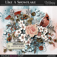 Like A Snowflake~ Basic Kit  