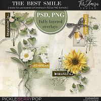 The Best Smile ~ Fully Layered Art Overlays