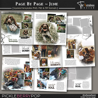 Page By Page Photobook Templates ~ June