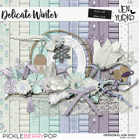 Delicate Winter: Full Kit