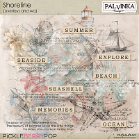 Shoreline Overlays and WA
