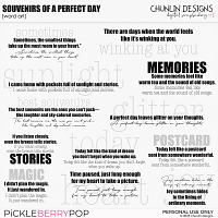 Souvenirs Of A Perfect Day - word art