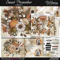 Sweet November Bundle Plus Free Gift by TirAmisu design 