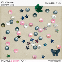 CU - Sequins