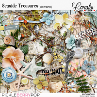 Seaside Treasures-Elements