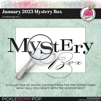 January 2023 Mystery Box