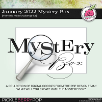 January 2022 Mystery Box
