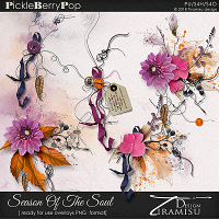 Season Of The Soul ~ ready for use overlays by Tiramisu design 