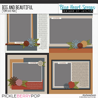 Big and Beautiful Template Pack