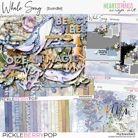 Whale Song Bundle