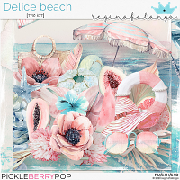 DELICE BEACH THE KIT