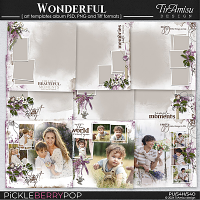 Wonderful ~ Art Templates Album by TirAmisu design  