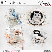 New Journey-{October}-transfers