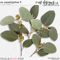 CU Eucalyptus 5 by et designs 