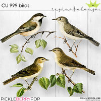 CU 999 BIRDS