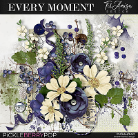 Every Moment ~ basic kit  by Tiramisu design 