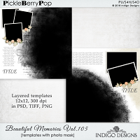 Beautiful Memories Templates Vol.105 by Indigo Design