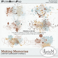 Making Memories Paint Overlays