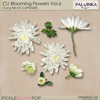 CU Blooming Flowers Vol.6 