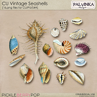 CU Vintage Seashells