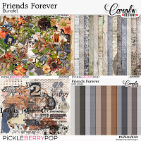 Friends Forever-Bundle