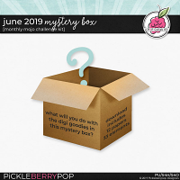 June 2019 Mystery Box 