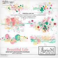 Beautiful Life Paint Overlays