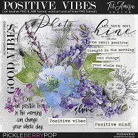 Positive Vibes  ~  brushes and word art by TirAmisu design