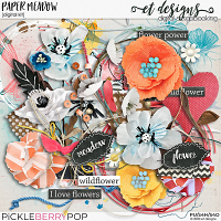 Paper Meadow Kit & Solid Papers