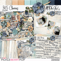 365 Chances {Bundle}