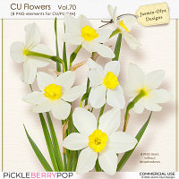 CU Flowers Vol.70 (Jasmin-Olya Designs)