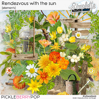 Rendezvous with the sun (elements) by Simplette