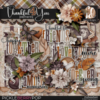 Thankful4You: Elements