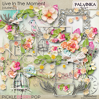 Live In The Moment Clusters