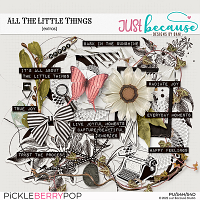 All The Little Things Extras by JB Studio