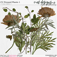 CU Pressed Plants 1