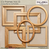 CU Frames 13