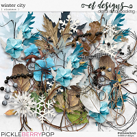 Winter City Clusters