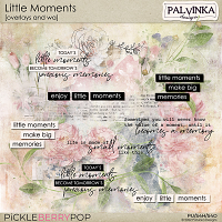 Little Moments Overlays and WA